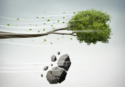 Illustration ply - Image 1