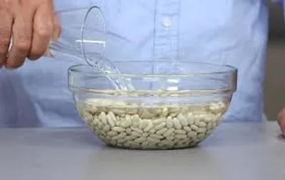 Illustration soak - Image 2