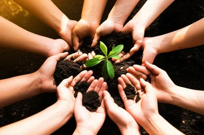 Illustration wi - Image 1