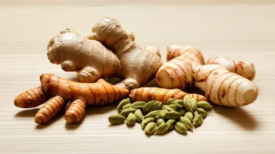 Illustration ginger - Image 1