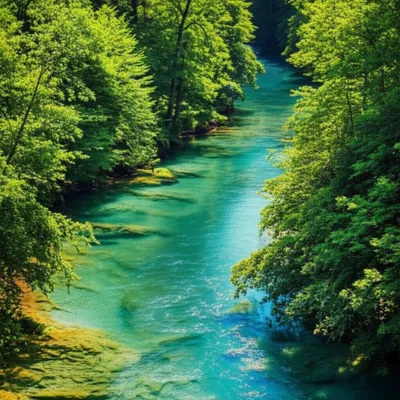 Illustration fork - Image 1