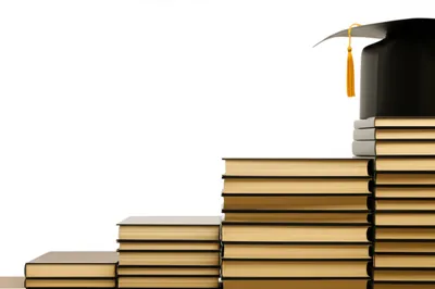 Illustration accumulates - Image 1