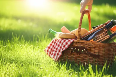 Illustration provided - Image 1