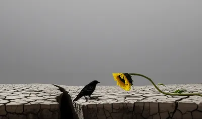 Illustration pessimism