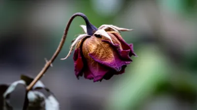 Illustration blast - Image 1