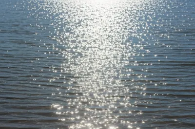 Illustration shimmery - Image 1