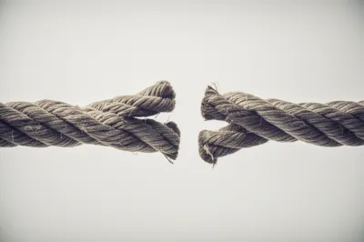 Illustration twining