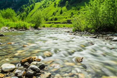 Illustration fluidity - Image 1