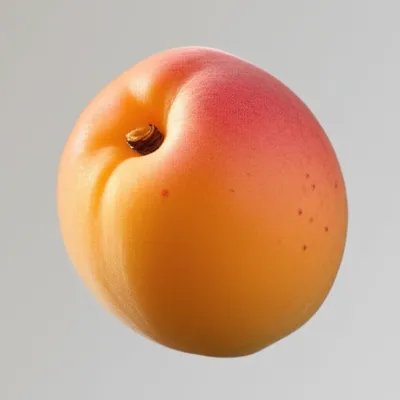 Illustration apricot - Image 1