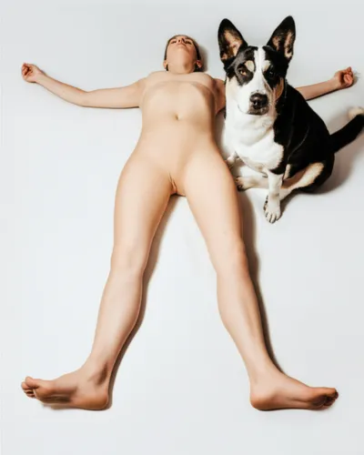 Illustration appendages