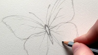 Illustration traces - Image 1