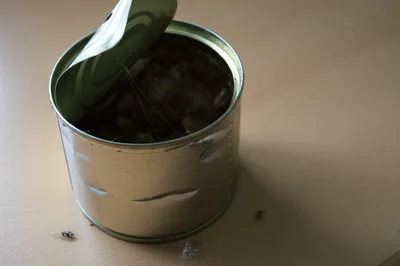 Illustration tinned - Image 1