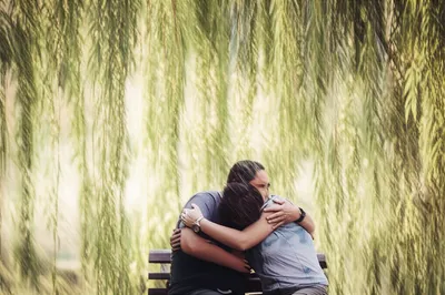 Illustration solaced - Image 1