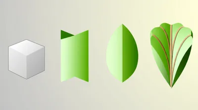 Illustration morphology - Image 1