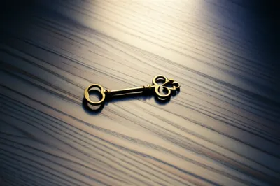 Illustration highlighting - Image 1