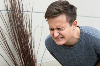 Illustration birches - Image 1