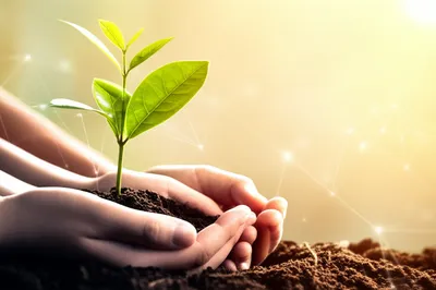 Illustration ministry - Image 1