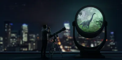 Illustration far - Image 1