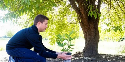 Illustration sees - Image 1