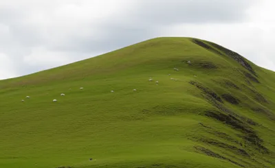 Illustration low - Image 1