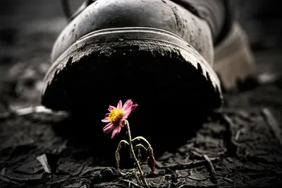 Illustration underfoot - Image 1