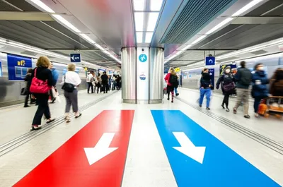 Hình ảnh minh họa south - Ảnh 1