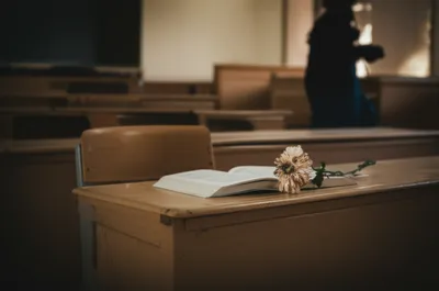 Illustration cuts - Image 1