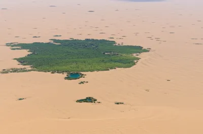 Illustration dense - Image 1