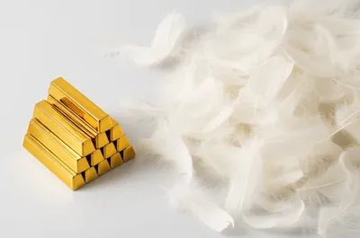 Illustration densest - Image 1