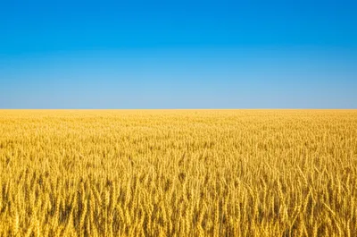 Illustration levels - Image 1