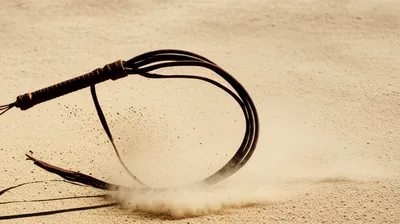 Illustration lash - Image 1