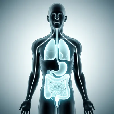 Illustration scopes - Image 1