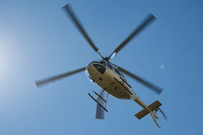 Illustration rotors - Image 1