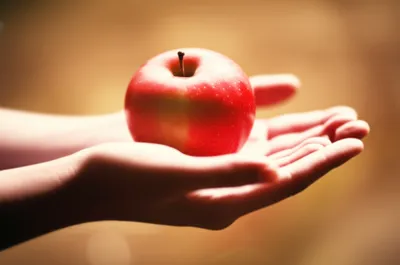 Illustration allowed - Image 1