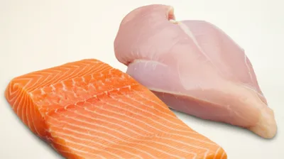 Illustration filet - Image 1