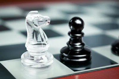 Illustration reversed - Image 1