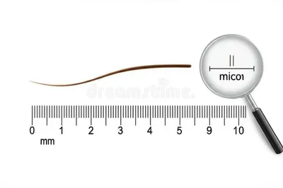Illustration micrometer