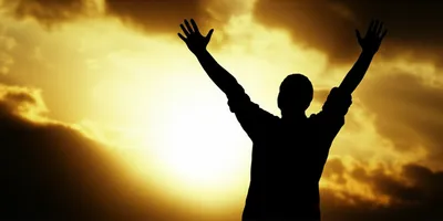 Illustration framed - Image 1