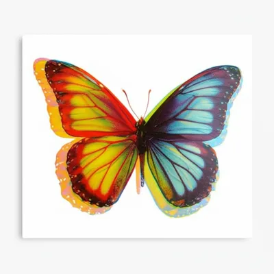 Illustration macule - Image 1