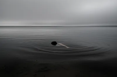 Illustration floaters - Image 1