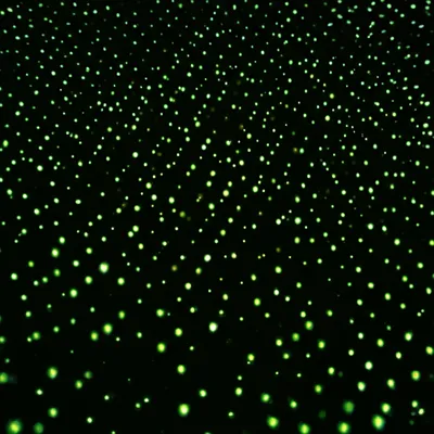 Illustration blink - Image 1