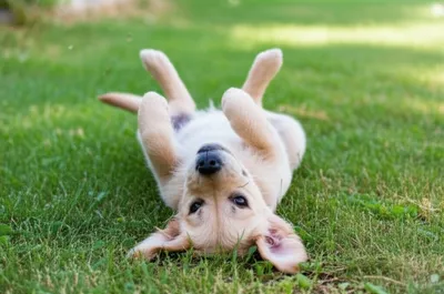 Illustration sprawls - Image 1