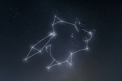 Illustration erected - Image 1