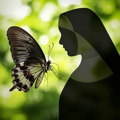 Illustration sis - Image 1