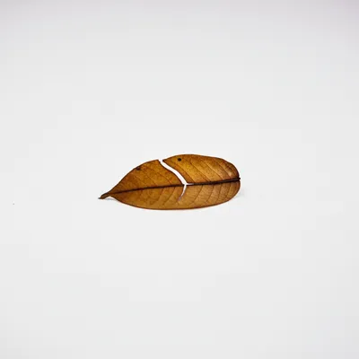 Illustration naught - Image 1