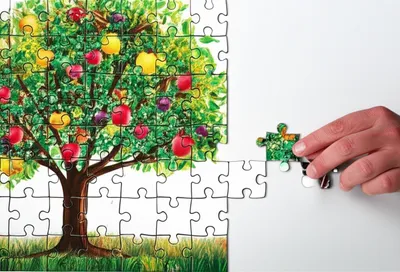 Illustration managements - Image 1