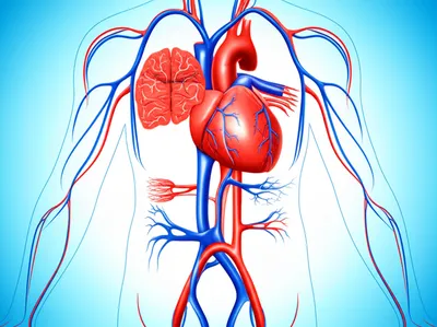 Illustration operates - Image 1