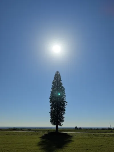 Illustration meridians - Image 1