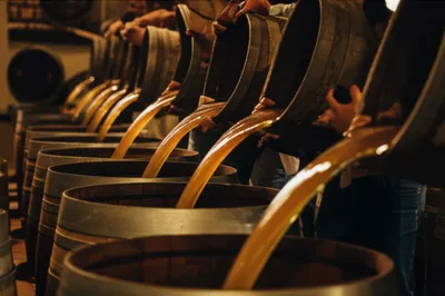 Illustration tuns - Image 1