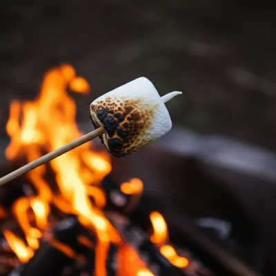 Illustration scorch - Image 1